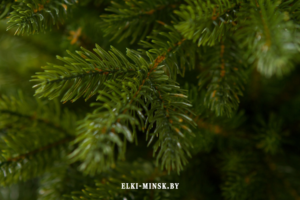 el alayska temnay (5)