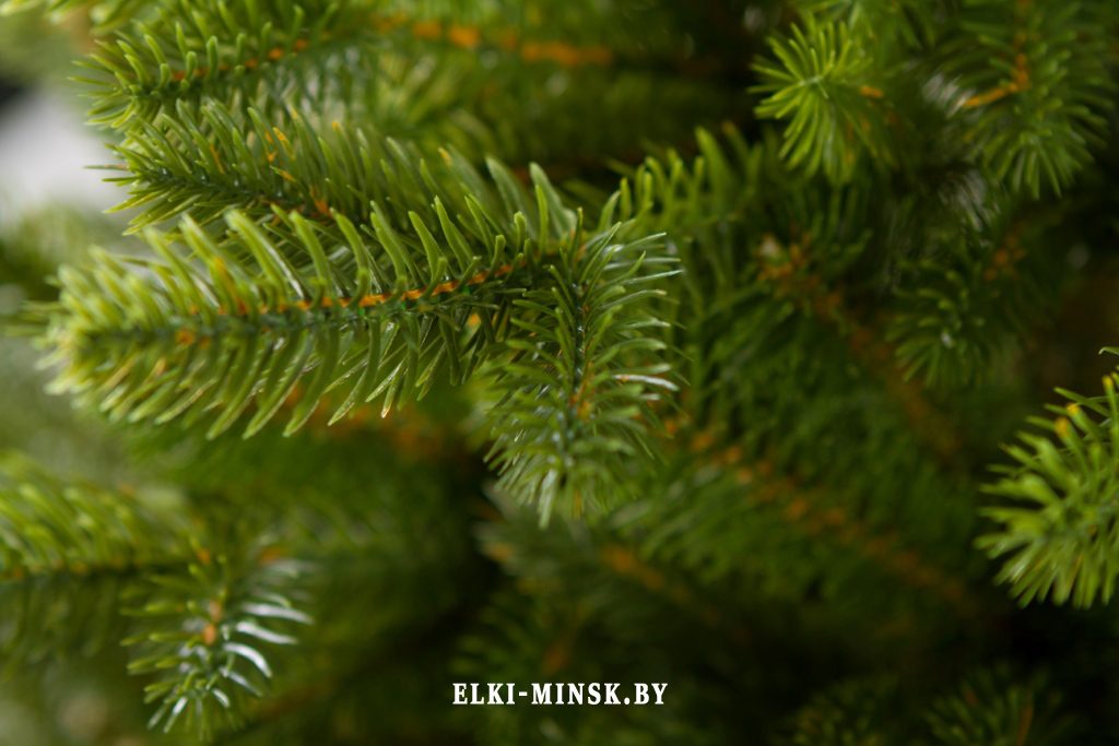 el alayska temnay (9)