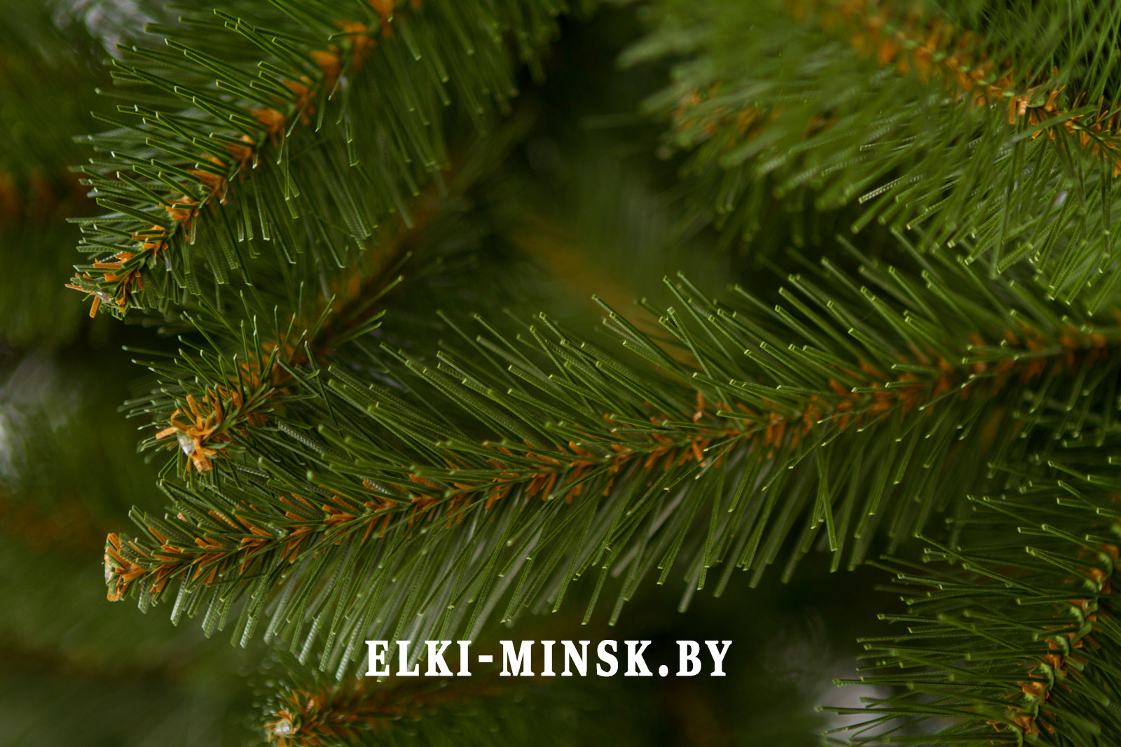 ель-бовари-зелёная-ветки