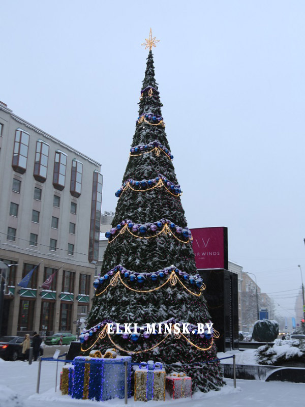 ель-евро-2-2