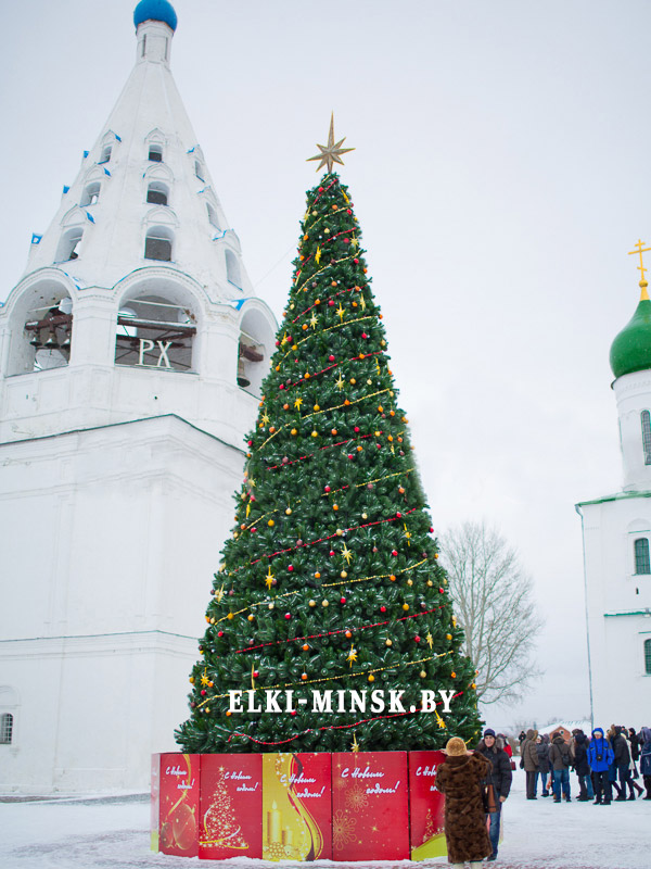 sosns-yralskay-(9)